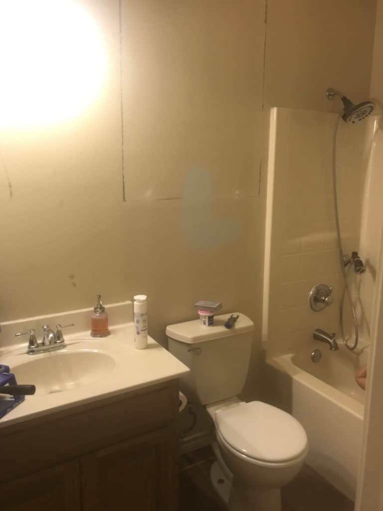 Bathroom Remodel on a Budget