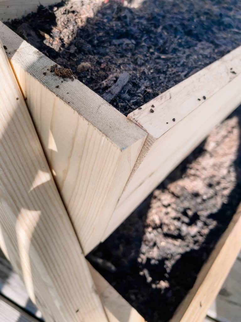 Warped wood on strawberry planter.